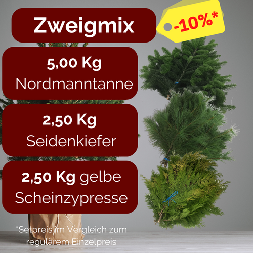 Zweigmix Nordmanntanne, Seidenkiefer & gelbe Scheinzypresse 2