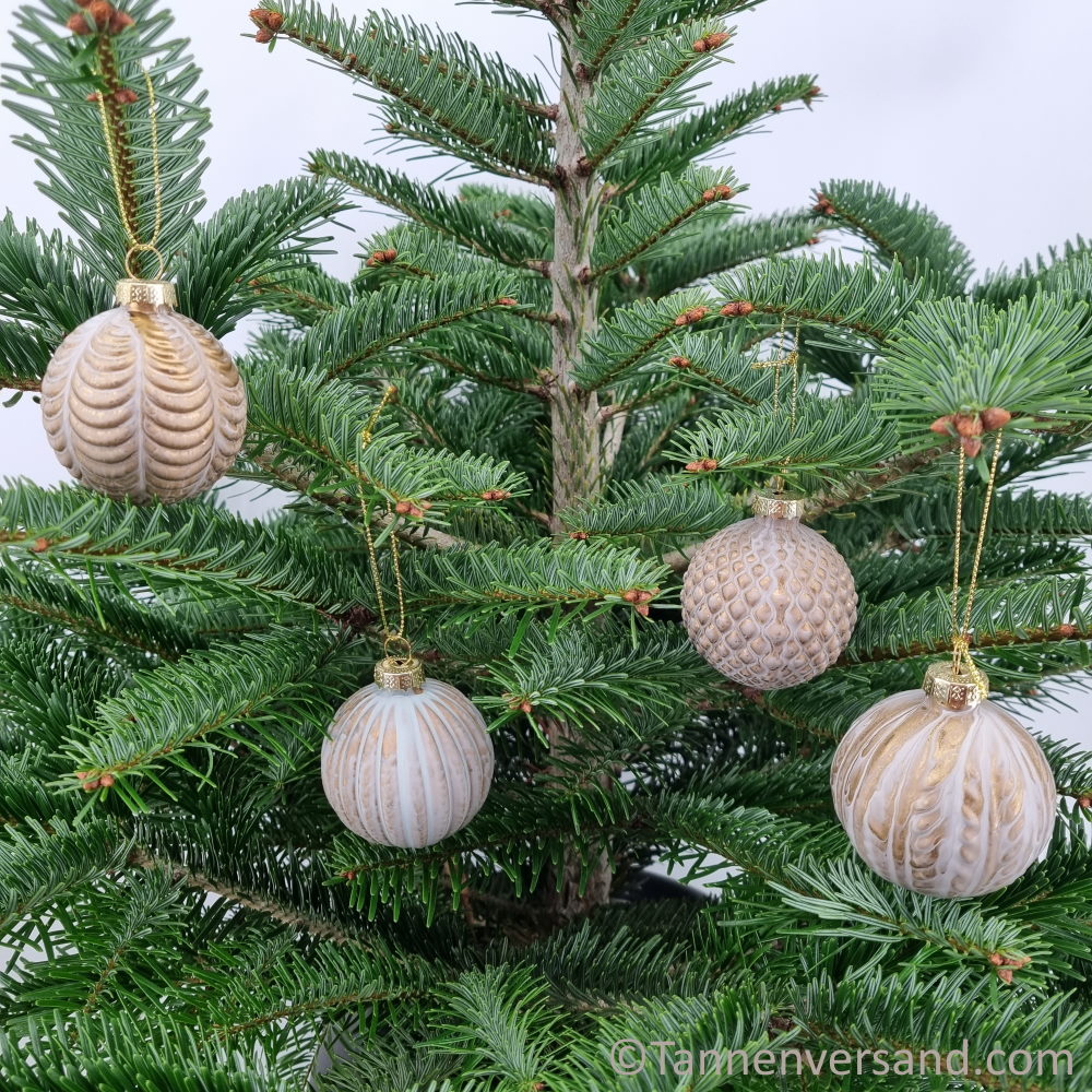 Weihnachtskugel aus Glas Champagner 6 cm 1