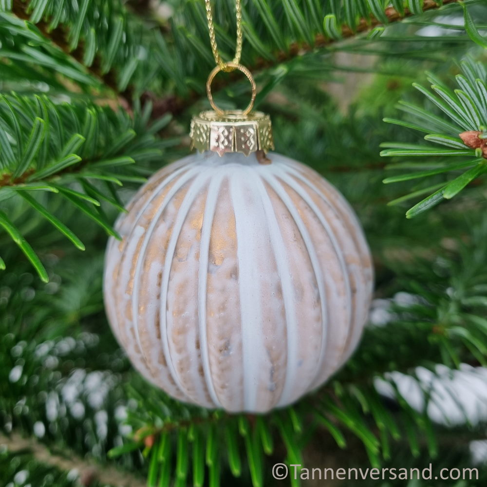 Weihnachtskugel aus Glas Champagner 6 cm 5