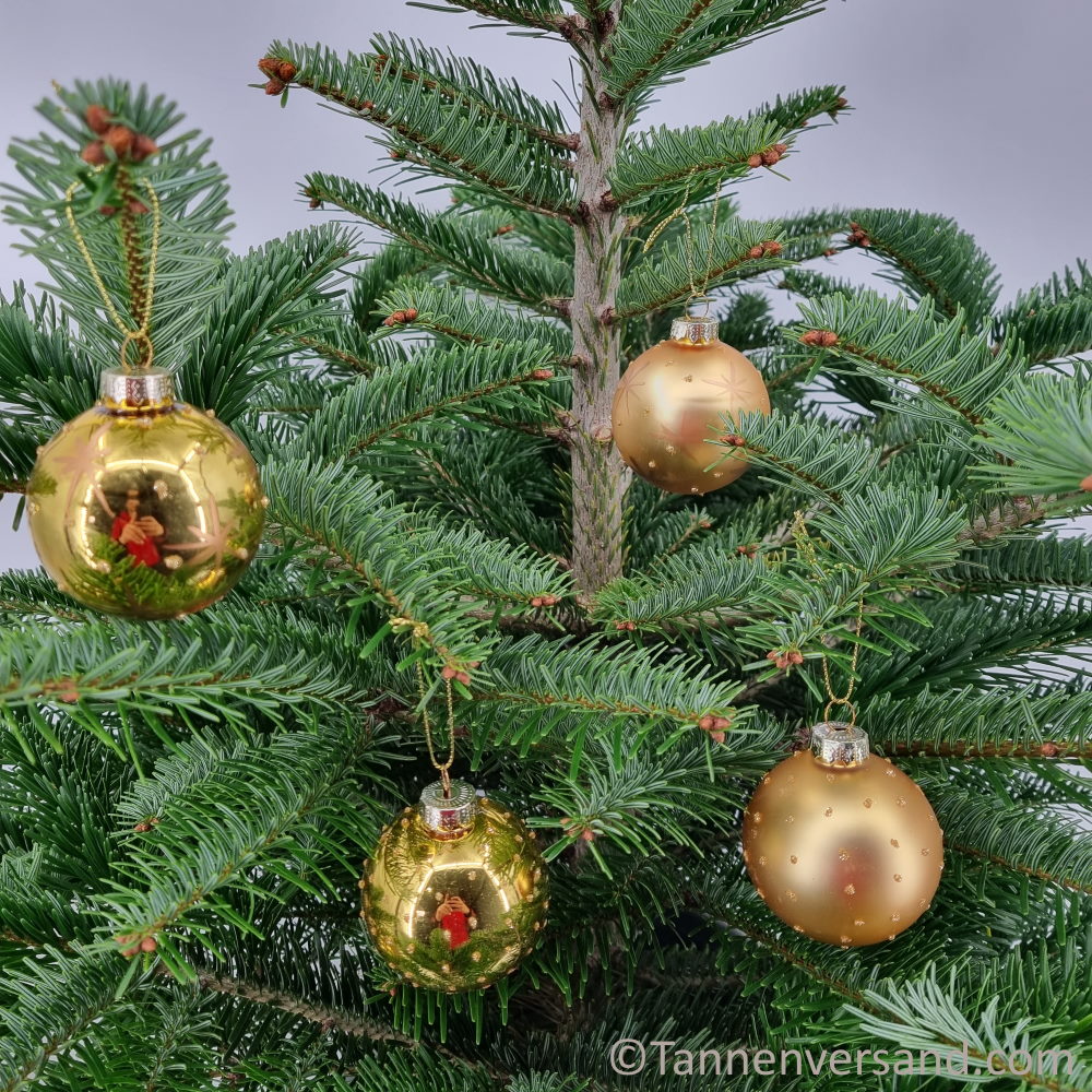 Weihnachtskugel aus Glas Gold 6 cm 1