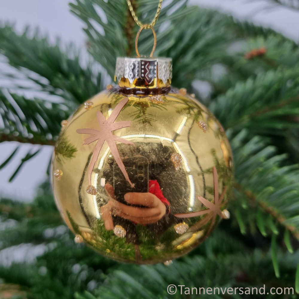 Weihnachtskugel aus Glas Gold 6 cm Set