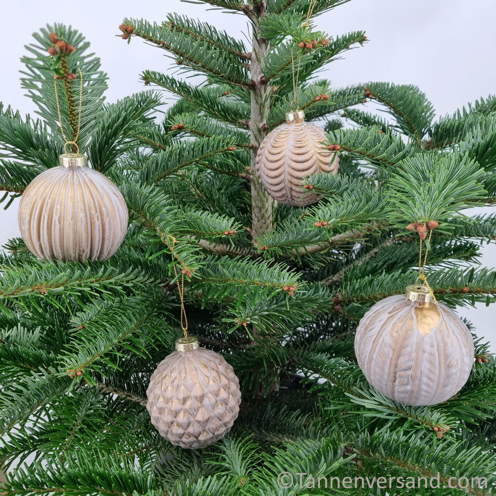 Weihnachtskugel aus Glas Champagner 8 cm Set