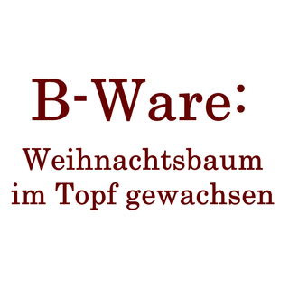 Topfbaum B-WARE: Verschiedene Sorten
