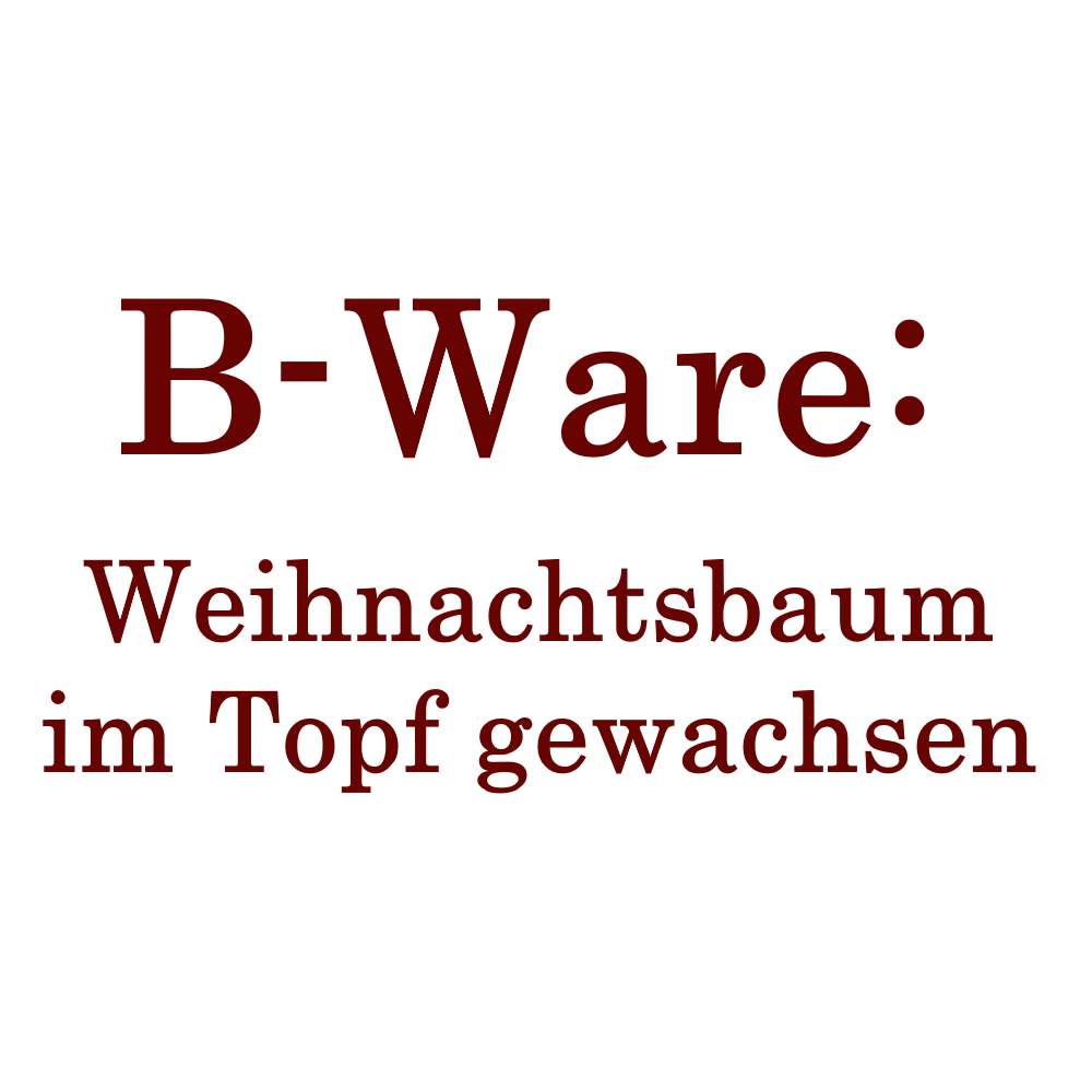 Topfbaum B-WARE: Verschiedene Sorten