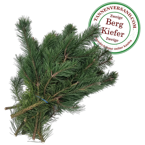 Tannenzweige Nordmanntanne & Nobilis → online kaufen