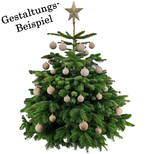 Champagner Baum