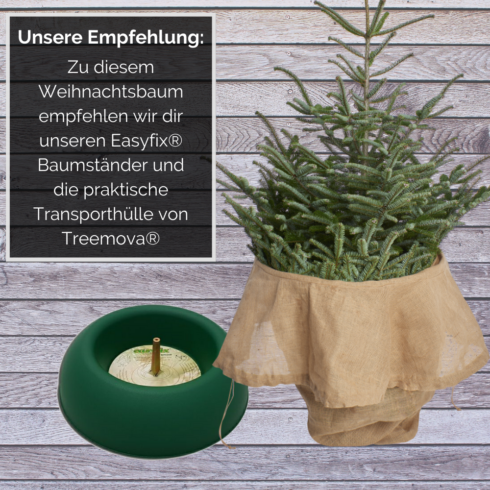 Empfehlung zum Weihnachtsbaum