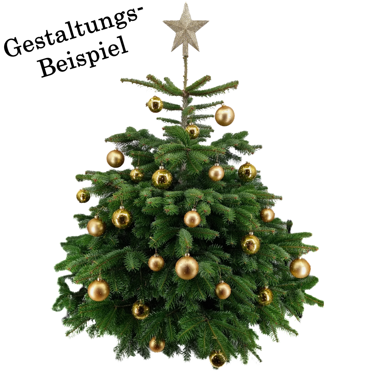 Gold Baum