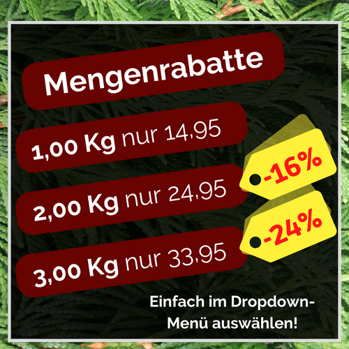 Zweige Sicheltanne Cryptomeria frisches Schnittgrün