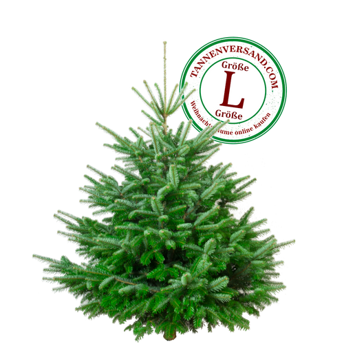 Weihnachtsbaum kaufen