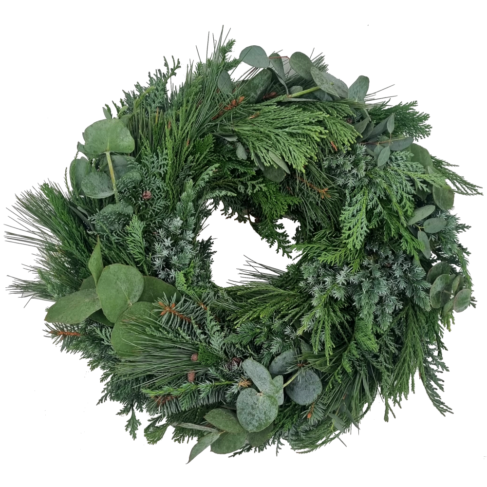 Adventskranz Premium bläulich → handgebunden & frisch