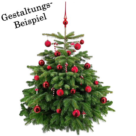 Rot Baum
