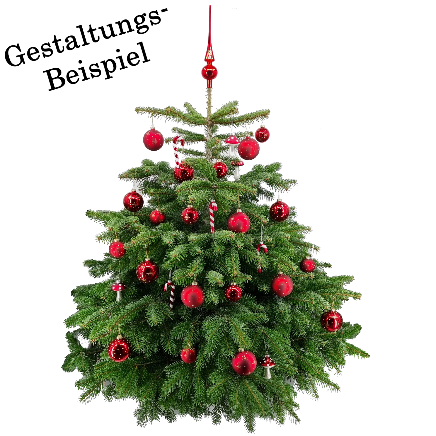 6 Weihnachtskugeln Rot Matt – Glas Christbaumkugeln 60mm, Mundgeblasen, Klassischer Baum- Und Deko-Schmuck In Kartonbox Christbaumkugeln 60 Mm