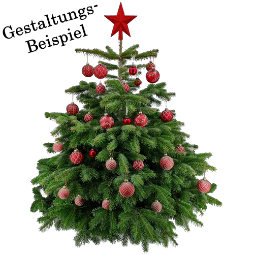 Rot Baum
