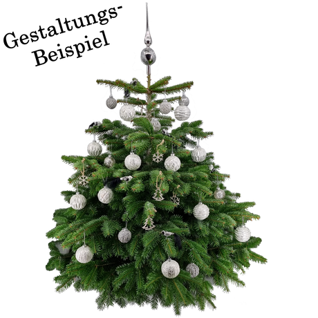 Silber Baum
