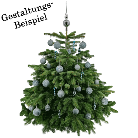 Türkis Baum