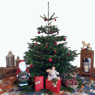 Weihnachtsbaum Nordmanntanne XL dekoriert Tannenversand
