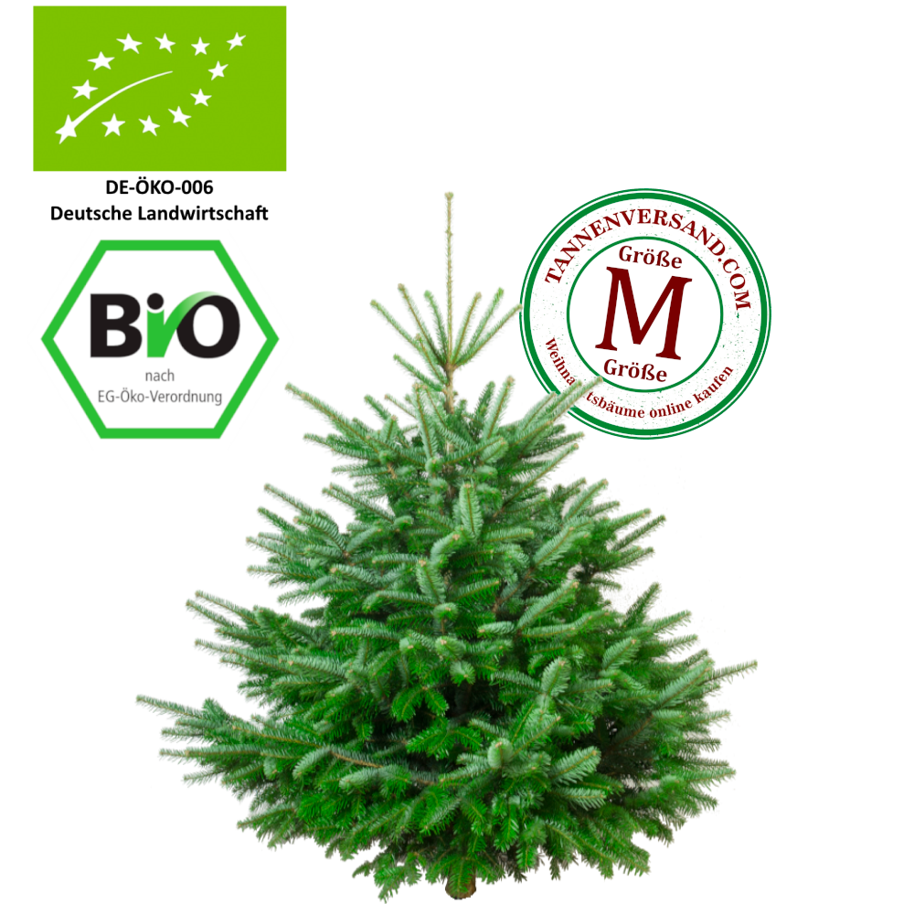 Weihnachtsbaum Nordmanntanne M 125-150 cm