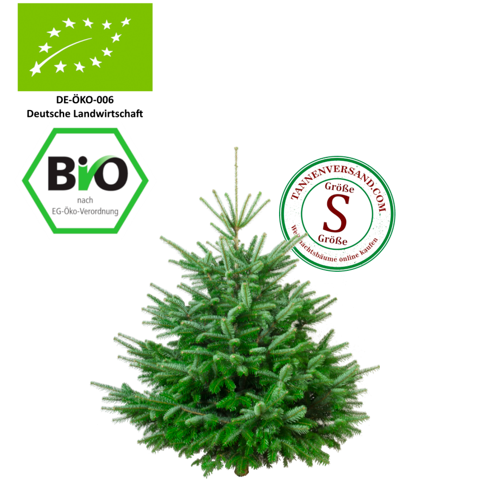BIO Weihnachtsbaum Nordmanntanne S 100-125 cm