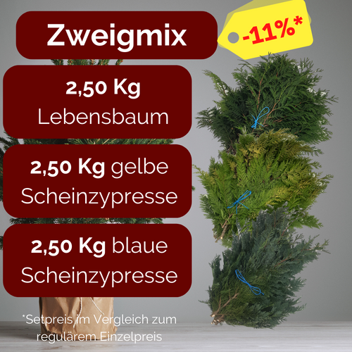Zweigmix Thuja, gelbe Scheinzypresse & blaue Scheinzypresse 2