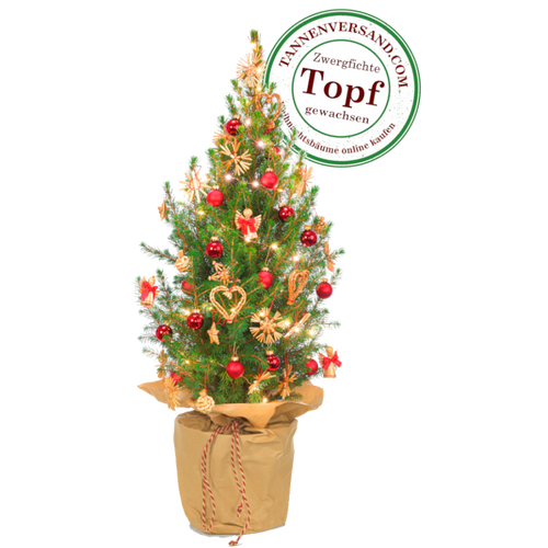 Weihnachtsbaum im Topf günstig online kaufen