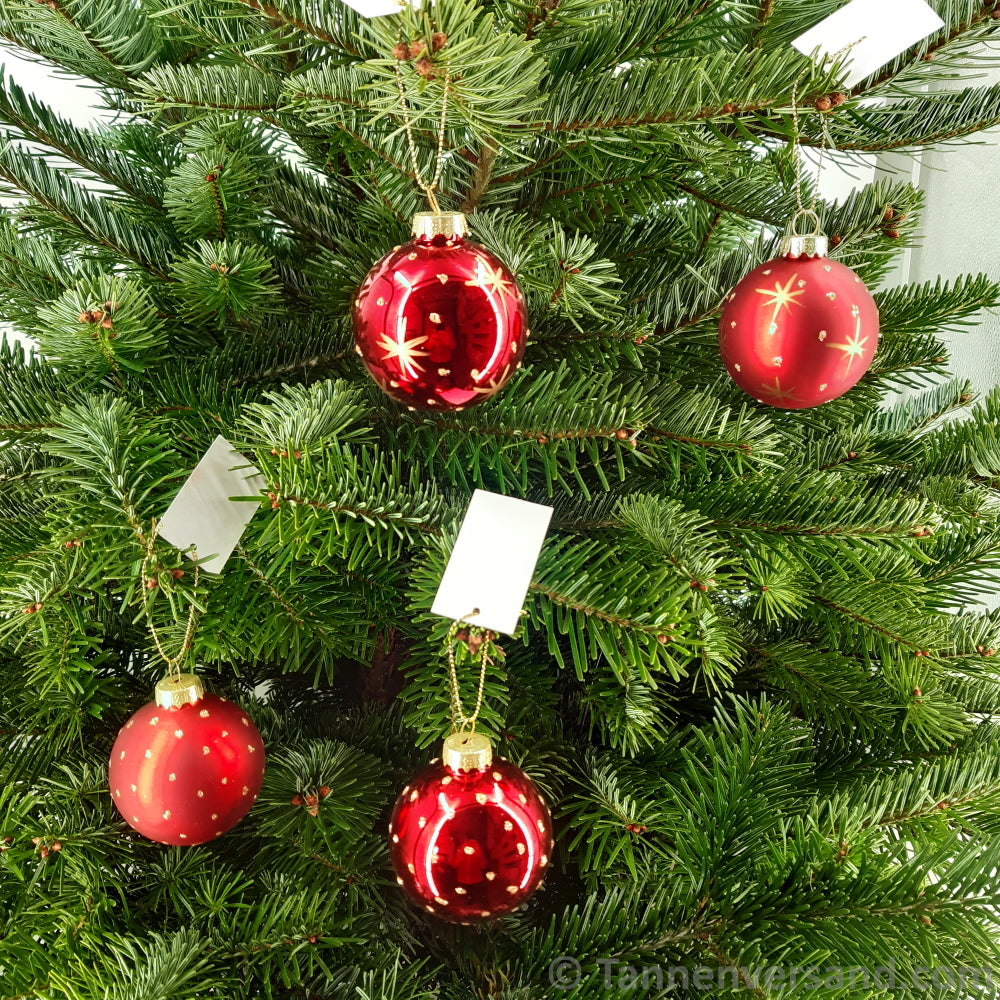 Weihnachtskugel aus Glas Rot Gold 6 cm 4er Set 1