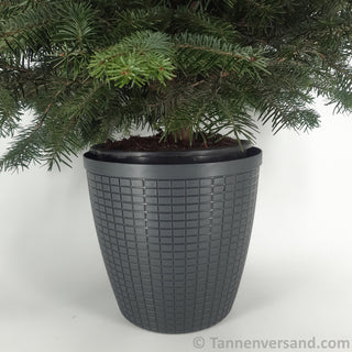 Übertopf Bruchfest Schwarz Matt ⌀ 29 cm 1