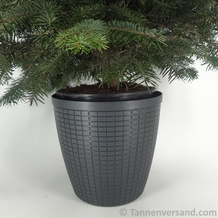 Übertopf Bruchfest Schwarz Matt ⌀ 29 cm 1