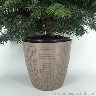 Übertopf Bruchfest Braun Matt ⌀ 29 cm 1