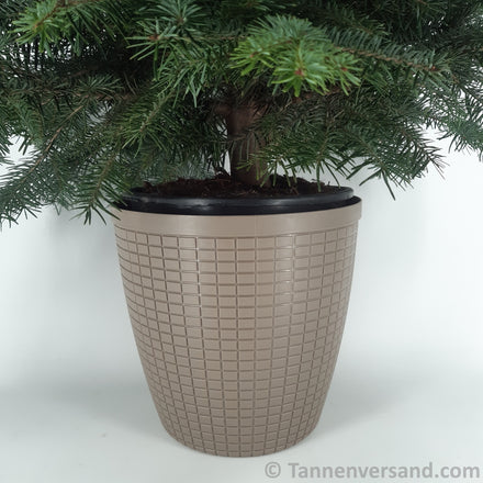 Übertopf Bruchfest Braun Matt ⌀ 29 cm 1