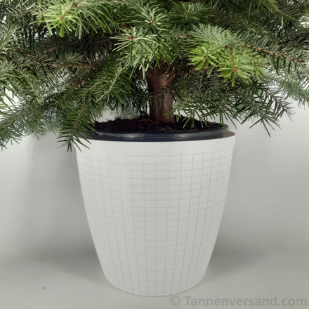Übertopf Bruchfest Weiß Matt ⌀ 29 cm 1