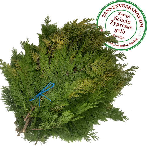 Tannenzweige Nordmanntanne & Nobilis → online kaufen