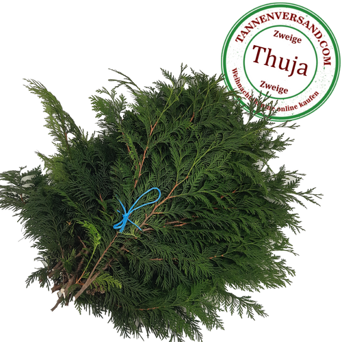 Tannenzweige Nordmanntanne & Nobilis → online kaufen