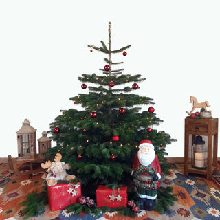 Weihnachtsbaum Nordmanntanne L dekoriert Tannenversand