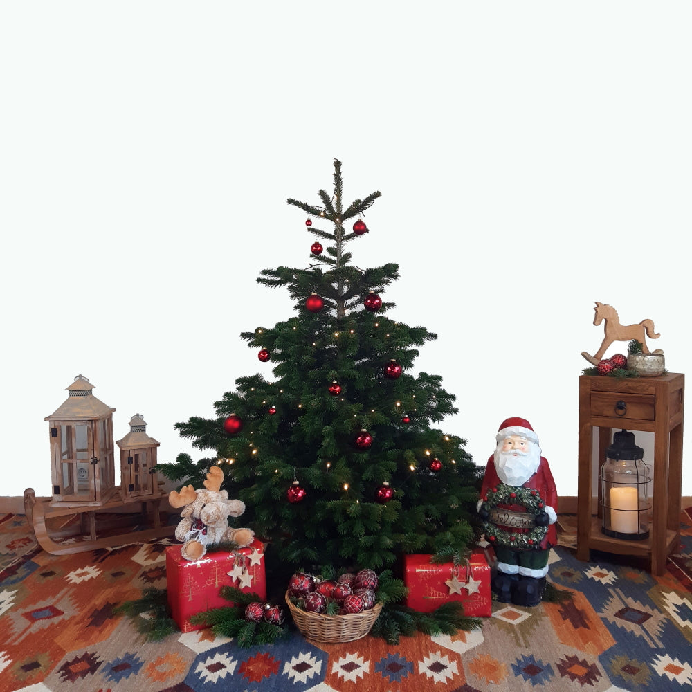 Weihnachtsbaum Nordmanntanne M dekoriert Tannenversand